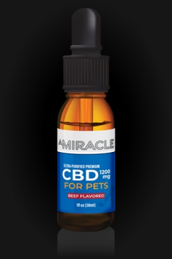 CBD Pet Oil 1200mg Beef Flavor