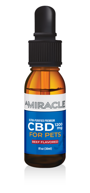CBD Pet Oil 1200mg Beef Flavor