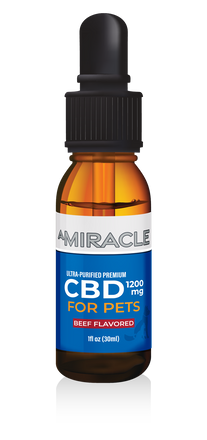 CBD Pet Oil 1200 mg Beef Flavor